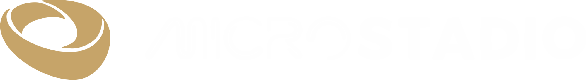 MicroStadio